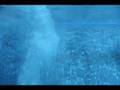 The Elements: Air/Water, Part 1: video by Joel Meyerowitz