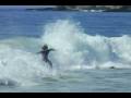 Santa Cruz 5'8 Ozzie Wright Pro Model
