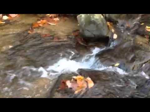 Nameless creek 26 oct ONE