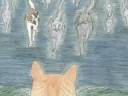 StarClan's Song