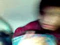 obedecee a catee 1no obedecee a catee 1no