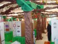 almadinah school science faire almadinah school science faire