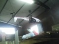 (uploaded by luisgiehl)&nbsp;HELICOPTERO DealExtreme