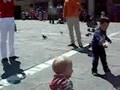 Dick Dastardly(Aka Guglielmino) vs. pigeons