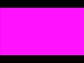 THE F!#K SHOP! - Fluffer