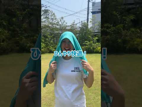 81690140_クイックドライタオル