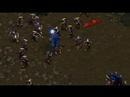 Quirion Fighting StarCraft Video