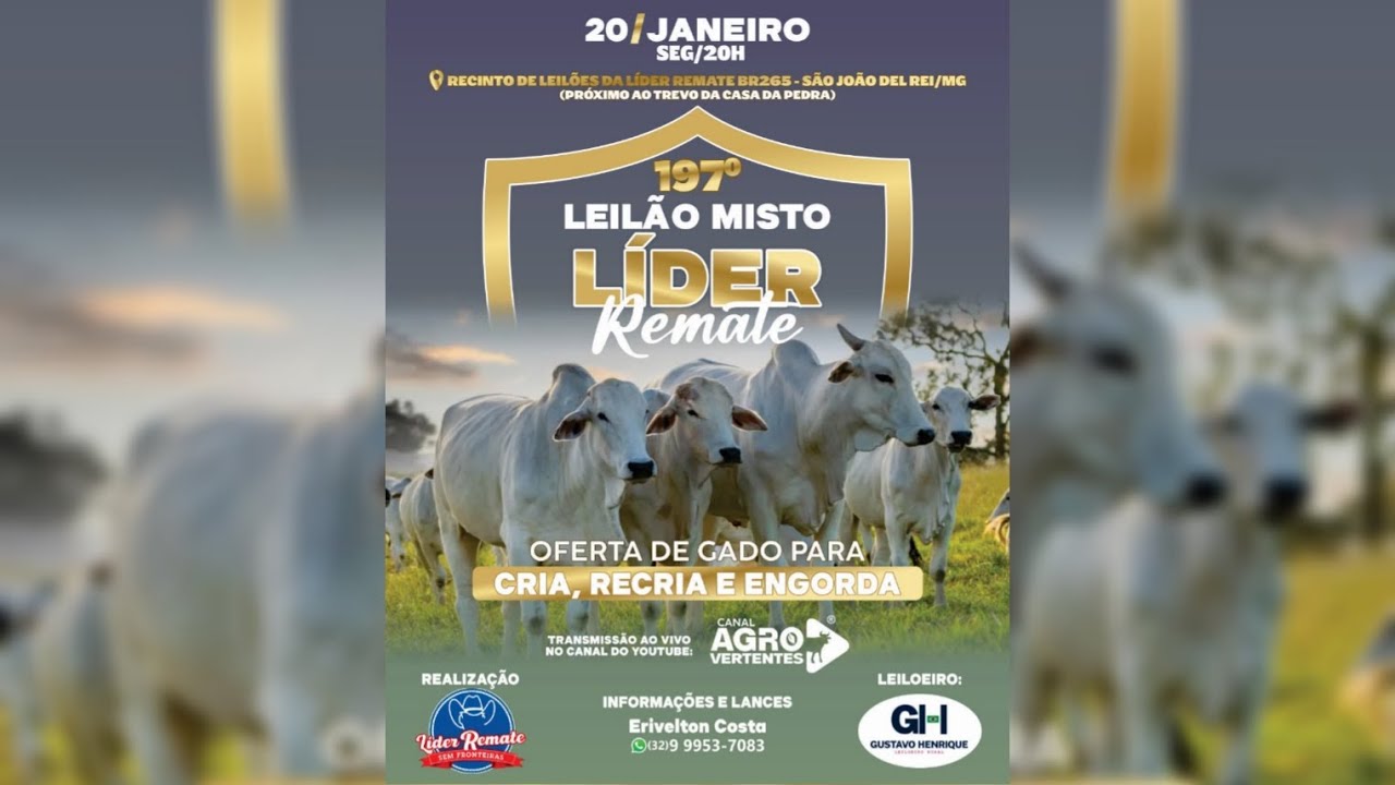 197º LEILÃO MISTO LÍDER REMATE - 20/01/2025
