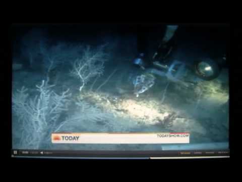 how to dissolve a strata in bc