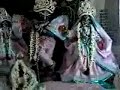 Gokulananda Temple Deities Gokulananda Temple Deities