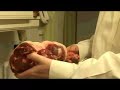 Anatomy cook book