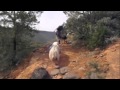 Woods Cyn Pack Hike, March 2011 - YouTube