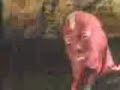Marilyn Manson gets freaked out