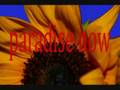 Group 1850  PARADISE NOW