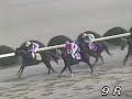 佐賀競馬1997年11月3日9R1着：キングオブザロード(鮫島)2.57.32着：サンテスシンオー(山口)3着：ビークァイエット(大垣)4着：ブラックタイ(北村)5着：ケイウンベスト(川野)