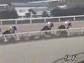 1997年第7回サラブレッドグランプリ(佐賀競馬)