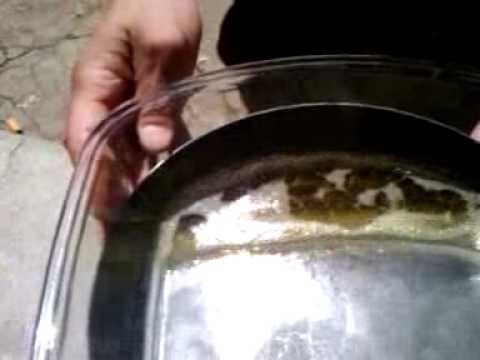 how to isolate pseudoephedrine