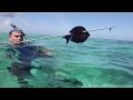 Подводная охота на Багамах
