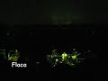 Flaca - 2son multitud