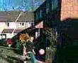Jobe's Average Day On The Street ;)