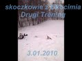 Skoki narciarskie trening na skoczni w Okocimiu 3.01.2010