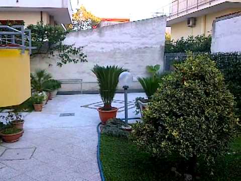 Immagine anteprima YouTube