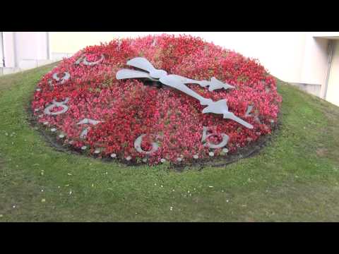 Gartengestaltung / Beetgestaltung Pflanzen Uhr - Pflant Clock