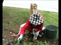 Spring Cleanup in the Flower Beds