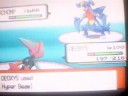 pokemon leauge champion pokemon leauge champion