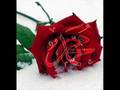 Seyfullah Pe�embere Zamane