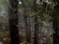videos de Viaje al pico duarte 2007