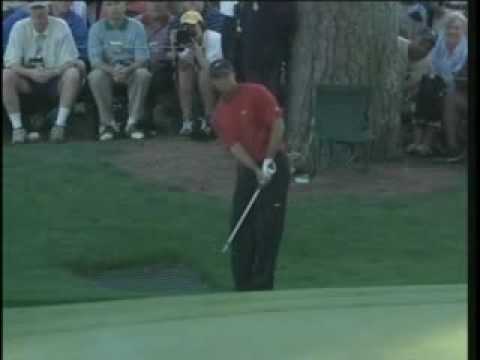 tiger woods