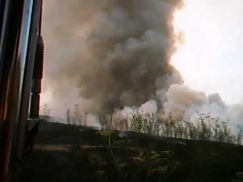 Camp Pendleton Brushfire - July 2011