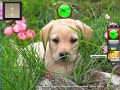 My new desktop