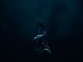 Haunted AMV