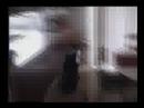 First Person Shooter