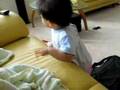videos de Meigan pointing