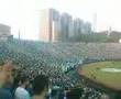 Palmeiras-2-x-1-Flam
