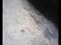 Thumbnail #2