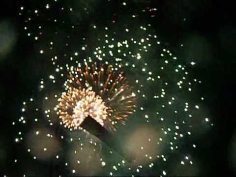 Firework Night 1st Nov 2008