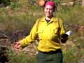 Wildland FireFighter Rap