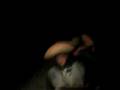videos de WhiteMexicanSledders Take Three