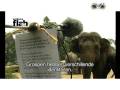 videos de ScienceFlash 37  deel 2 - 3 oktober '08 (reportage)