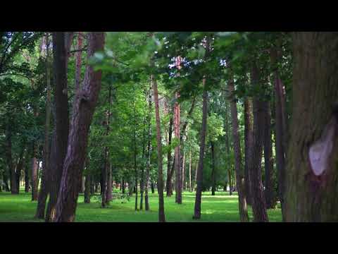 Барановичи день за днем. 17.06.24.
