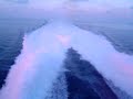 Barco Milenium 2, Acciona Trasmediterránea