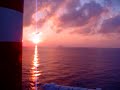 Barco Milenium 2, Acciona Trasmediterránea