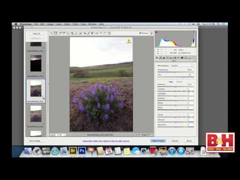 how to improve your snap shot
