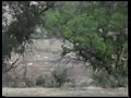 Vacation 96 Part 2