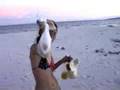 Siargao from Cebu - Paradise Island; with Surf!