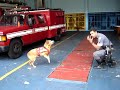 treinamento de busca e salvamento